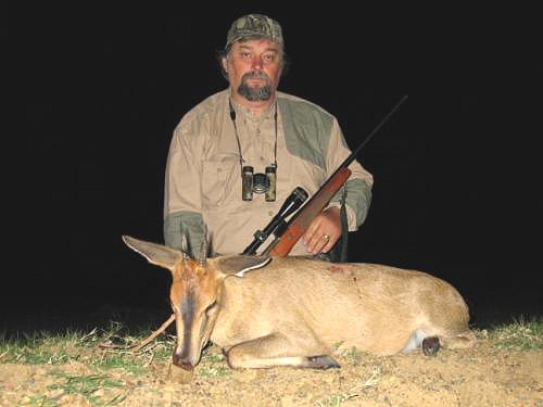 Bush Duiker